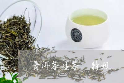 普洱茶生茶 特级/2023031709504